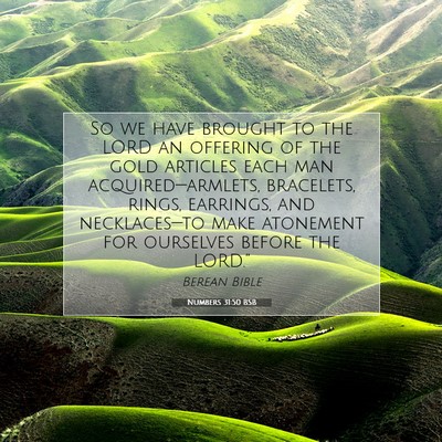 Picture 07 - Numbers 31:50 BSB - So we have brought to the LORD an offering of the - Bible Verse Picture