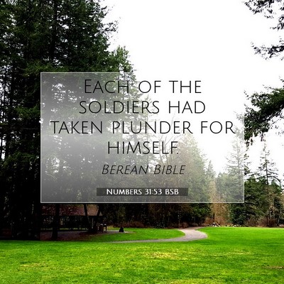 Picture 07 - Numbers 31:53 BSB - Each of the soldiers had taken plunder for - Bible Verse Picture