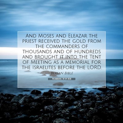 Picture 07 - Numbers 31:54 BSB - And Moses and Eleazar the priest received the - Bible Verse Picture