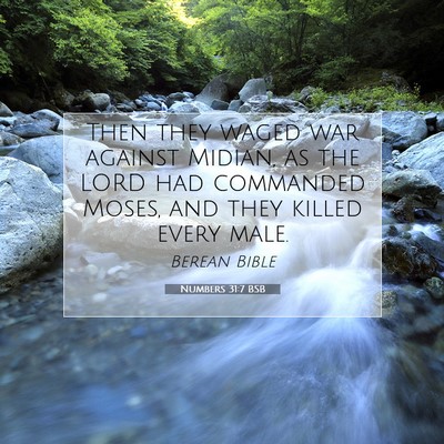 Picture 07 - Numbers 31:7 BSB - Then they waged war against Midian, as the LORD - Bible Verse Picture