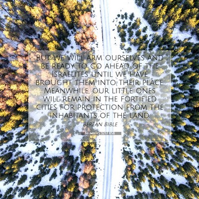 Picture 07 - Numbers 32:17 BSB - But we will arm ourselves and be ready to go - Bible Verse Picture