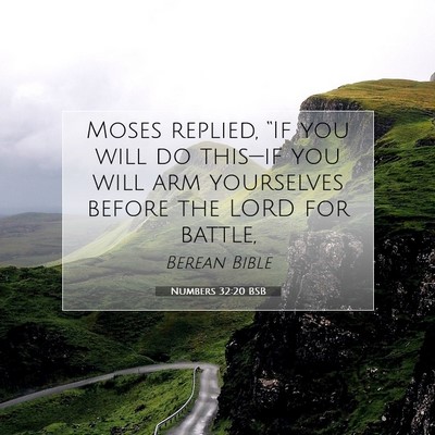 Picture 07 - Numbers 32:20 BSB - Moses replied, “If you will do this—if you - Bible Verse Picture