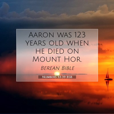 Picture 07 - Numbers 33:39 BSB - Aaron was 123 years old when he died on Mount - Bible Verse Picture