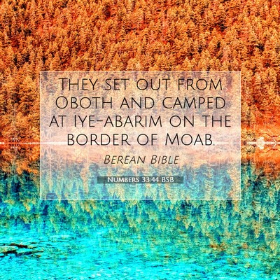 Picture 07 - Numbers 33:44 BSB - They set out from Oboth and camped at Iye-abarim - Bible Verse Picture