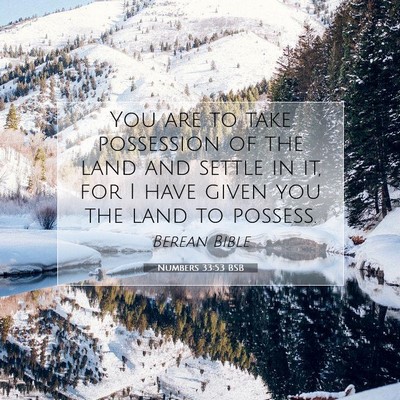 Picture 07 - Numbers 33:53 BSB - You are to take possession of the land and settle - Bible Verse Picture