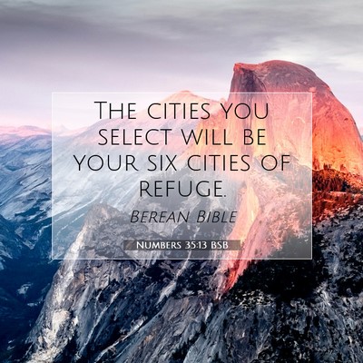 Picture 07 - Numbers 35:13 BSB - The cities you select will be your six cities of - Bible Verse Picture