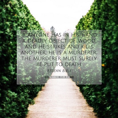 Picture 07 - Numbers 35:18 BSB - If anyone has in his hand a deadly object of - Bible Verse Picture