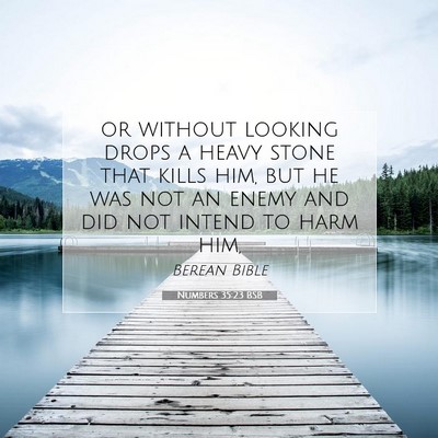 Picture 07 - Numbers 35:23 BSB - or without looking drops a heavy stone that kills - Bible Verse Picture
