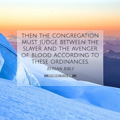 Picture 07 - Numbers 35:24 BSB - then the congregation must judge between the - Bible Verse Picture