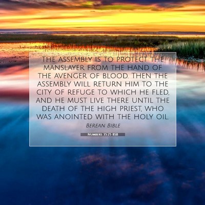 Picture 07 - Numbers 35:25 BSB - The assembly is to protect the manslayer from the - Bible Verse Picture