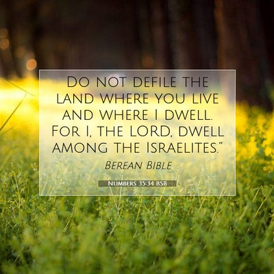 Picture 07 - Numbers 35:34 BSB - Do not defile the land where you live and where I - Bible Verse Picture