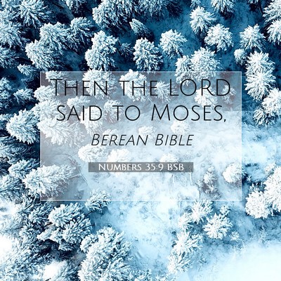 Picture 07 - Numbers 35:9 BSB - Then the LORD said to - Bible Verse Picture