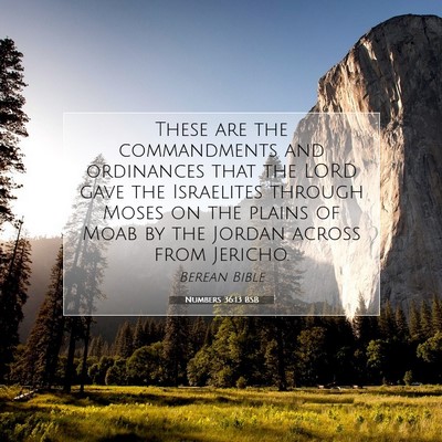 Picture 07 - Numbers 36:13 BSB - These are the commandments and ordinances that - Bible Verse Picture