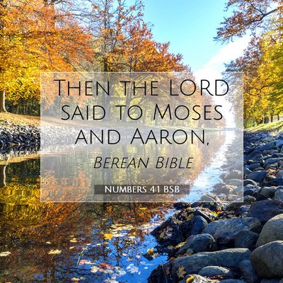 Picture 07 - Numbers 4:1 BSB - Then the LORD said to Moses and - Bible Verse Picture
