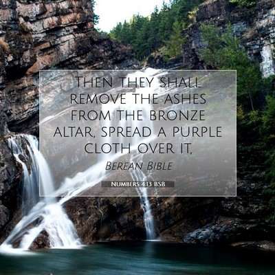 Picture 07 - Numbers 4:13 BSB - Then they shall remove the ashes from the bronze - Bible Verse Picture