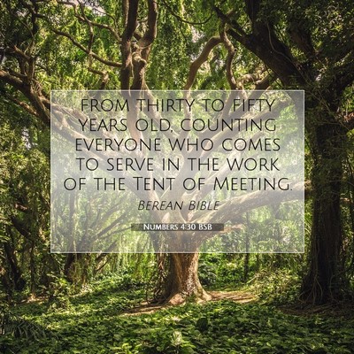 Picture 07 - Numbers 4:30 BSB - from thirty to fifty years old, counting everyone - Bible Verse Picture