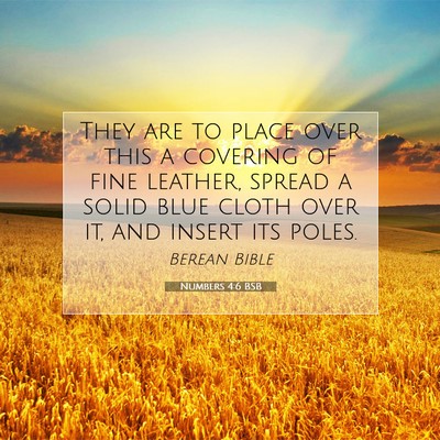Picture 07 - Numbers 4:6 BSB - They are to place over this a covering of fine - Bible Verse Picture