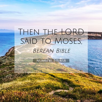 Picture 07 - Numbers 5:11 BSB - Then the LORD said to - Bible Verse Picture