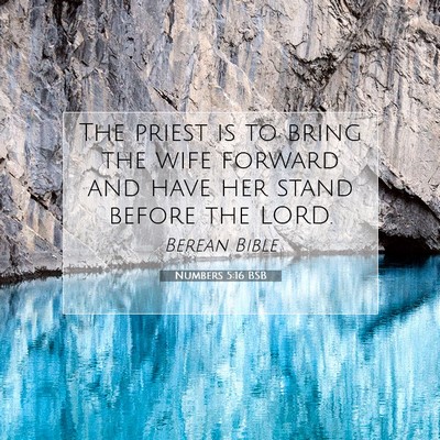 Picture 07 - Numbers 5:16 BSB - The priest is to bring the wife forward and have - Bible Verse Picture