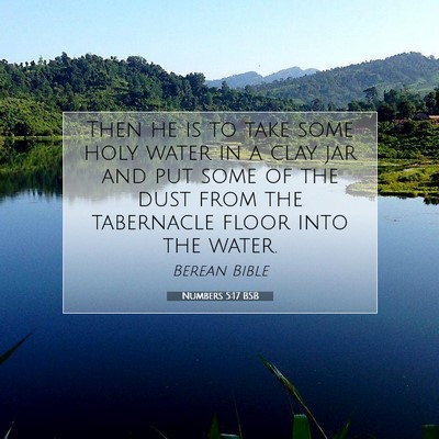 Picture 07 - Numbers 5:17 BSB - Then he is to take some holy water in a clay jar - Bible Verse Picture