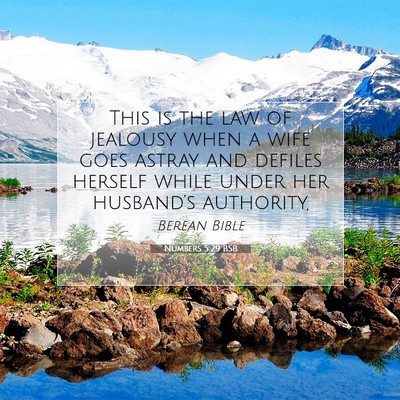 Picture 07 - Numbers 5:29 BSB - This is the law of jealousy when a wife goes - Bible Verse Picture
