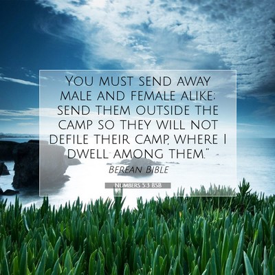 Picture 07 - Numbers 5:3 BSB - You must send away male and female alike; send - Bible Verse Picture
