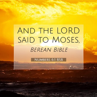 Picture 07 - Numbers 6:1 BSB - And the LORD said to - Bible Verse Picture