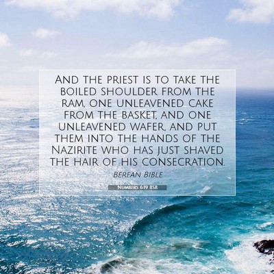 Picture 07 - Numbers 6:19 BSB - And the priest is to take the boiled shoulder - Bible Verse Picture