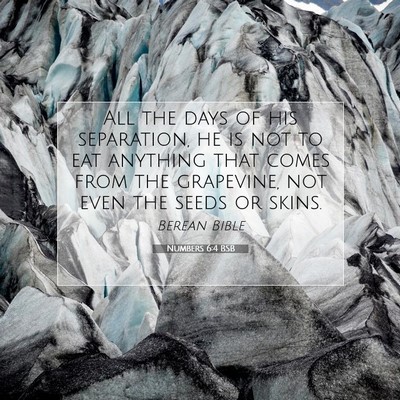 Picture 07 - Numbers 6:4 BSB - All the days of his separation, he is not to eat - Bible Verse Picture
