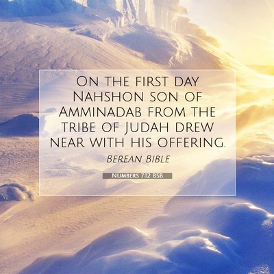 Picture 07 - Numbers 7:12 BSB - On the first day Nahshon son of Amminadab from - Bible Verse Picture