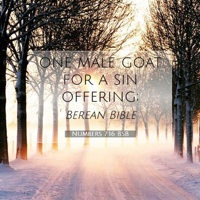 Picture 07 - Numbers 7:16 BSB - one male goat for a sin - Bible Verse Picture