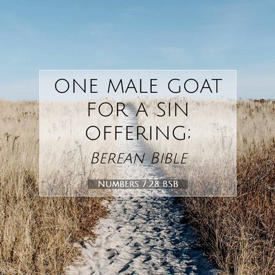 Picture 07 - Numbers 7:28 BSB - one male goat for a sin - Bible Verse Picture