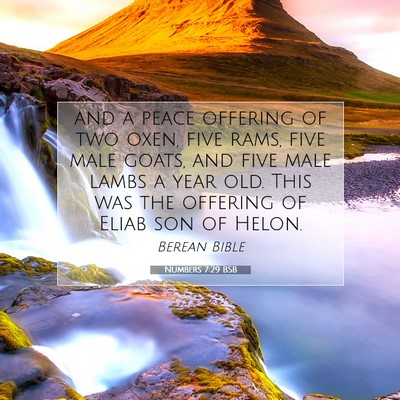 Picture 07 - Numbers 7:29 BSB - and a peace offering of two oxen, five rams, five - Bible Verse Picture