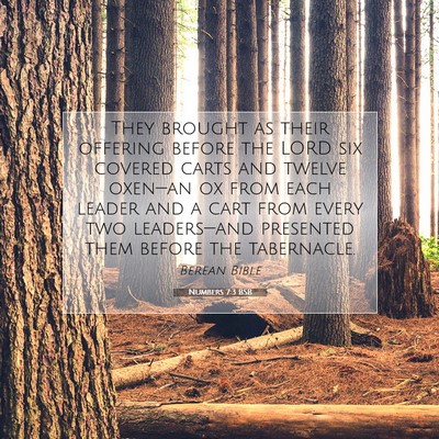 Picture 07 - Numbers 7:3 BSB - They brought as their offering before the LORD - Bible Verse Picture