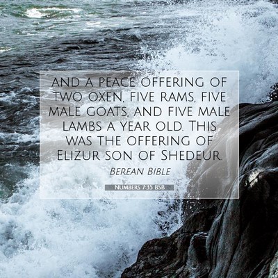 Picture 07 - Numbers 7:35 BSB - and a peace offering of two oxen, five rams, five - Bible Verse Picture