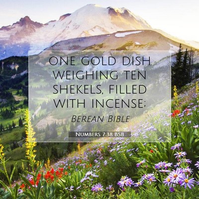 Picture 07 - Numbers 7:38 BSB - one gold dish weighing ten shekels, filled with - Bible Verse Picture