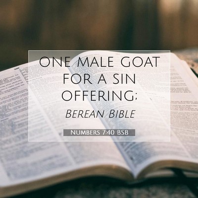 Picture 07 - Numbers 7:40 BSB - one male goat for a sin - Bible Verse Picture