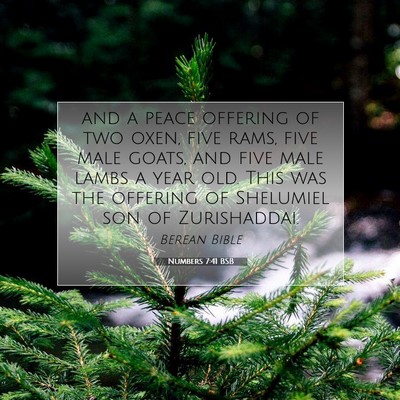 Picture 07 - Numbers 7:41 BSB - and a peace offering of two oxen, five rams, five - Bible Verse Picture