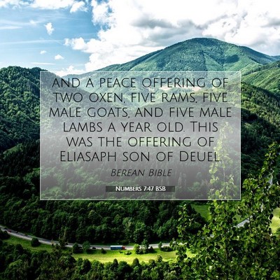 Picture 07 - Numbers 7:47 BSB - and a peace offering of two oxen, five rams, five - Bible Verse Picture
