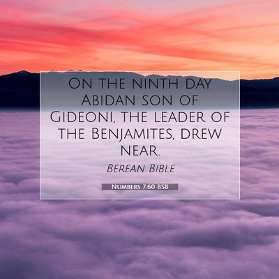 Picture 07 - Numbers 7:60 BSB - On the ninth day Abidan son of Gideoni, the - Bible Verse Picture