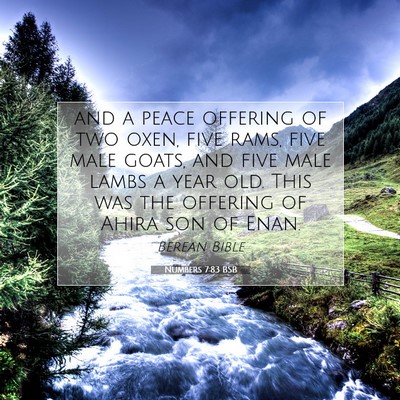 Picture 07 - Numbers 7:83 BSB - and a peace offering of two oxen, five rams, five - Bible Verse Picture