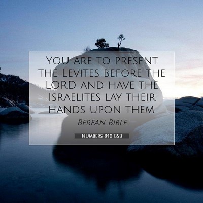 Picture 07 - Numbers 8:10 BSB - You are to present the Levites before the LORD - Bible Verse Picture