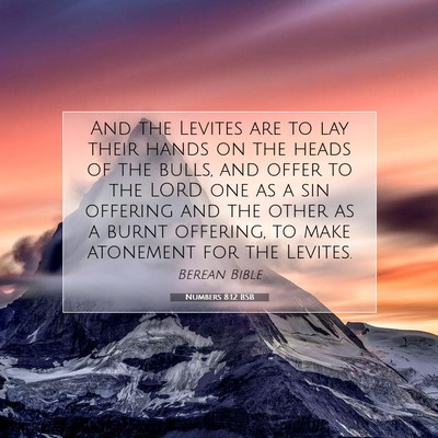 Picture 07 - Numbers 8:12 BSB - And the Levites are to lay their hands on the - Bible Verse Picture