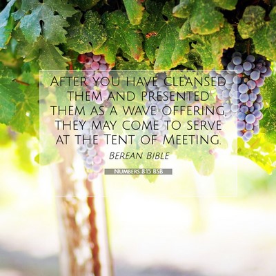 Picture 07 - Numbers 8:15 BSB - After you have cleansed them and presented them - Bible Verse Picture