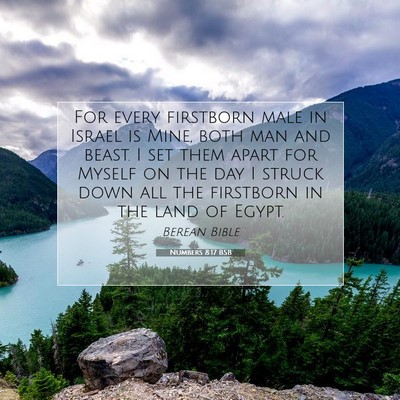 Picture 07 - Numbers 8:17 BSB - For every firstborn male in Israel is Mine, both - Bible Verse Picture