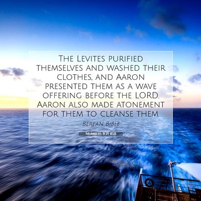 Picture 07 - Numbers 8:21 BSB - The Levites purified themselves and washed their - Bible Verse Picture