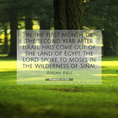 Picture 07 - Numbers 9:1 BSB - In the first month of the second year after - Bible Verse Picture
