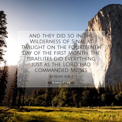 Picture 07 - Numbers 9:5 BSB - and they did so in the Wilderness of Sinai, at - Bible Verse Picture