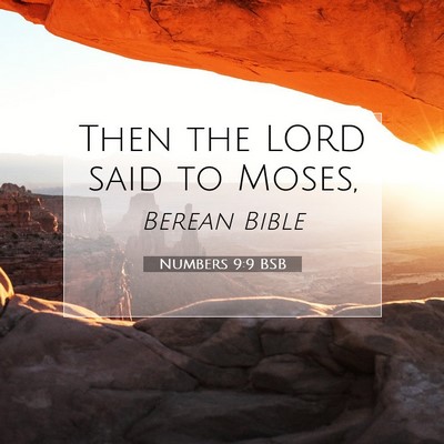 Picture 07 - Numbers 9:9 BSB - Then the LORD said to - Bible Verse Picture