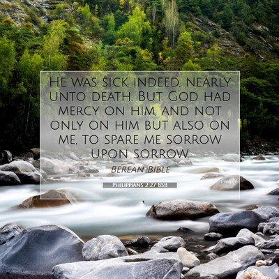 Picture 07 - Philippians 2:27 BSB - He was sick indeed, nearly unto death. But God - Bible Verse Picture